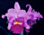 Blc. Orchid Jerri Ann Richard ‘Ruby Lip’ (Brassavola x Laelia x Cattleya hybrid)
