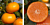 Citrus ‘Tango’ Mandarin (Citrus reticulata)