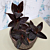 Black Jewel Orchid (Ludisia discolor)