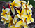 Plumeria ‘Novelty’ (Plumeria rubra hybrid)      