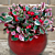Variegated Wintergreen Winter Splash™ PPAF (Gaultheria procumbens hybrid)