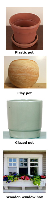 mixed pots
