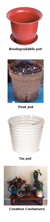 mixed pots
