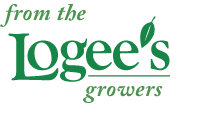 from the Logee's growers