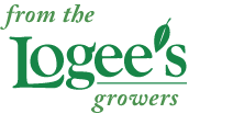 Grow Your Own Cup of Coffee - Logee's Greenhouses