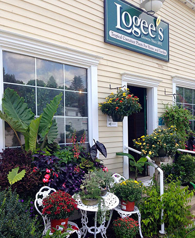 Logee's Tropical Plants - Plant Nursery and Garden Center 