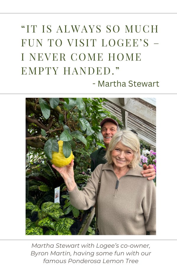 Martha Stewart and Byron Martin with our famous Ponderosa Lemon Tree