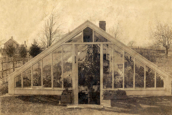 Logee's Fern House - Circa 1900