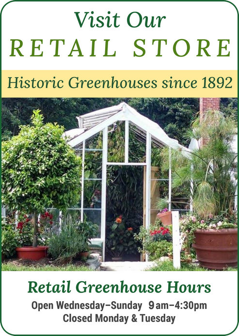 Logee's Greenhouses - Retail Plant Store