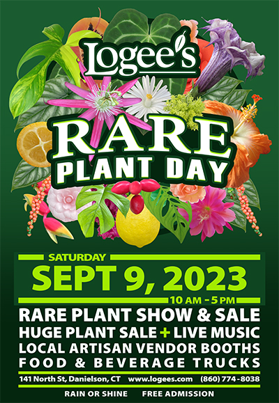 Logee's Rare Plant Day 2023