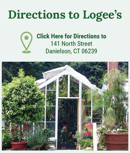 Directions to Logee's