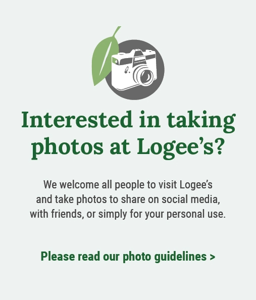 Interested in Taking Photos at Logee's?
