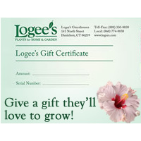 Logee's Gift Certificate